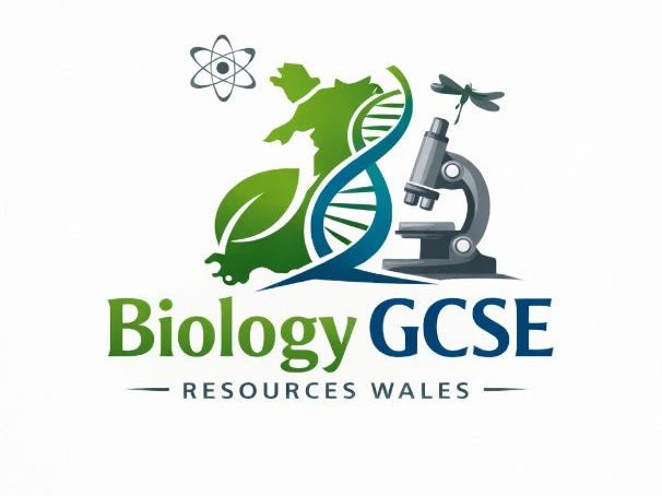 GCSE Biology Blood, Heart & Circulation Revision Bundle
