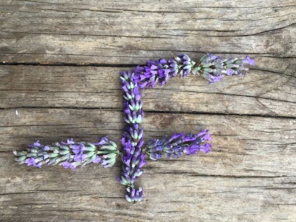 Lavender nature numbers 0-20