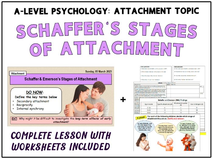 ALevel Psychology SCHAFFER & EMERSON'S STAGES OF ATTACHMENT (1964