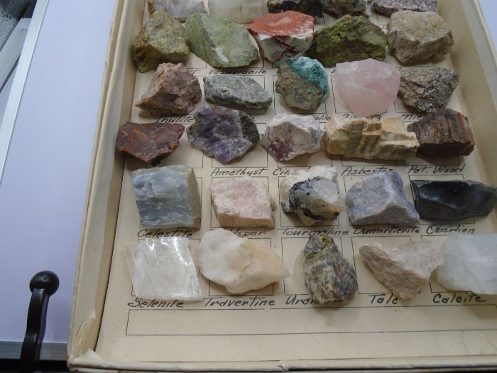 SPECIMENS FROM THE DESERT 2 Teaching Resources