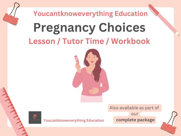 Pregnancy Choices Pupil Workbook