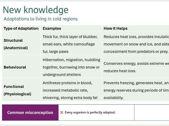 Adaptations