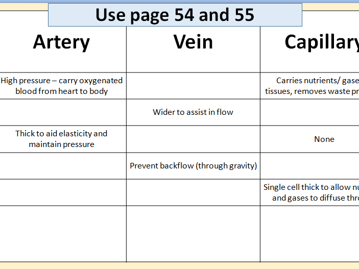 Blood Vessels - Structure and Function