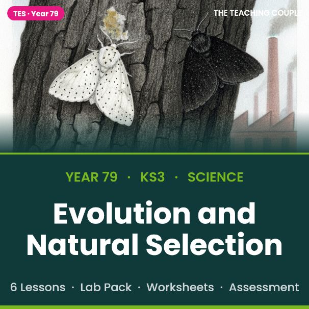 KS3 Biology: Evolution & Natural Selection | Full Unit + Selection Lab