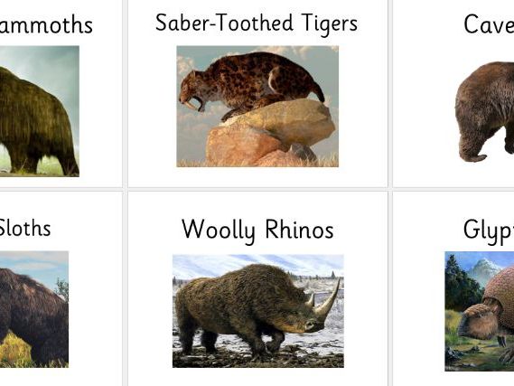 Stone Age Table Name Signs