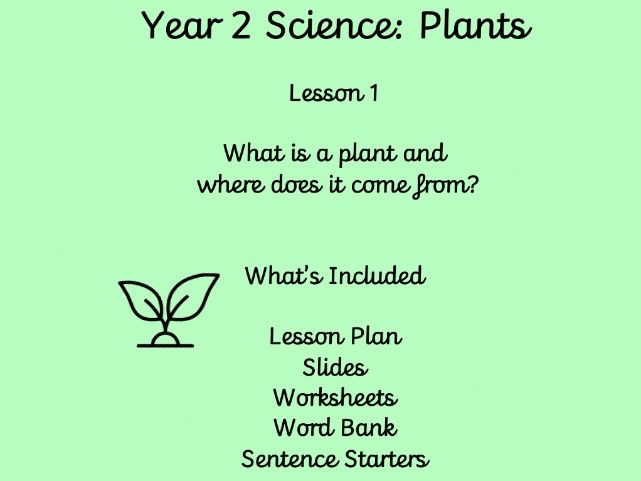 Year 2 Science: Plants – Lesson 1 | Parts of a Plant & How Plants Grow (FREE)