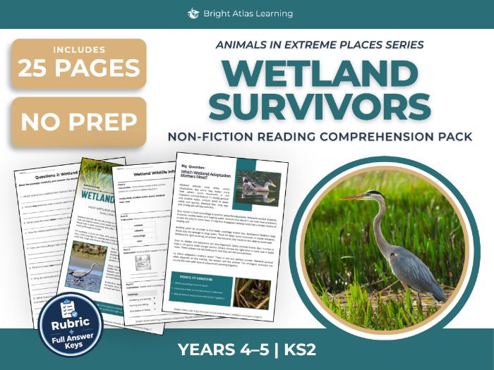 Wetland Animals Reading Comprehension | KS2 Years 4 & 5
