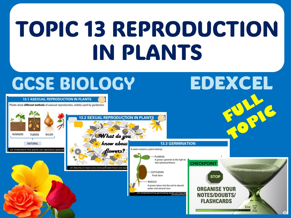Reproduction in plants - iGCSE EDEXCEL