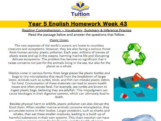 43. Year 5 Reading Comprehension & Dashes for Parenthesis