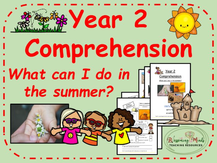 What to do in the summer reading comprehension / Year 2