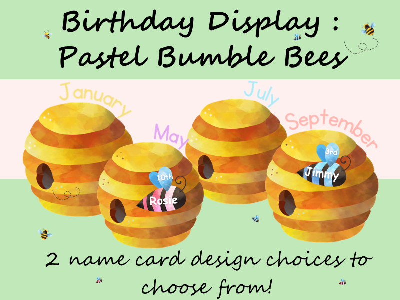Birthdays Display: Pastel Bumble Bees