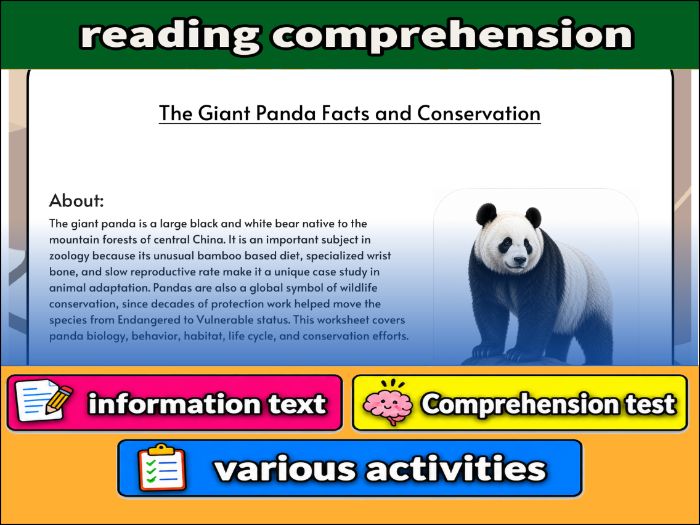 The Giant Panda Facts and Conservation - zoology & Activities