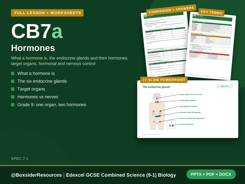 CB7a Hormones | Edexcel GCSE Combined Science (9-1) | Lesson + Worksheet