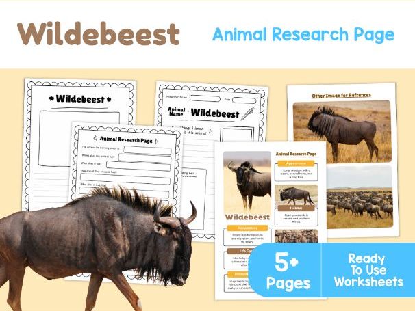 Wildebeest Research Project | Migration, Habitats and Adaptations