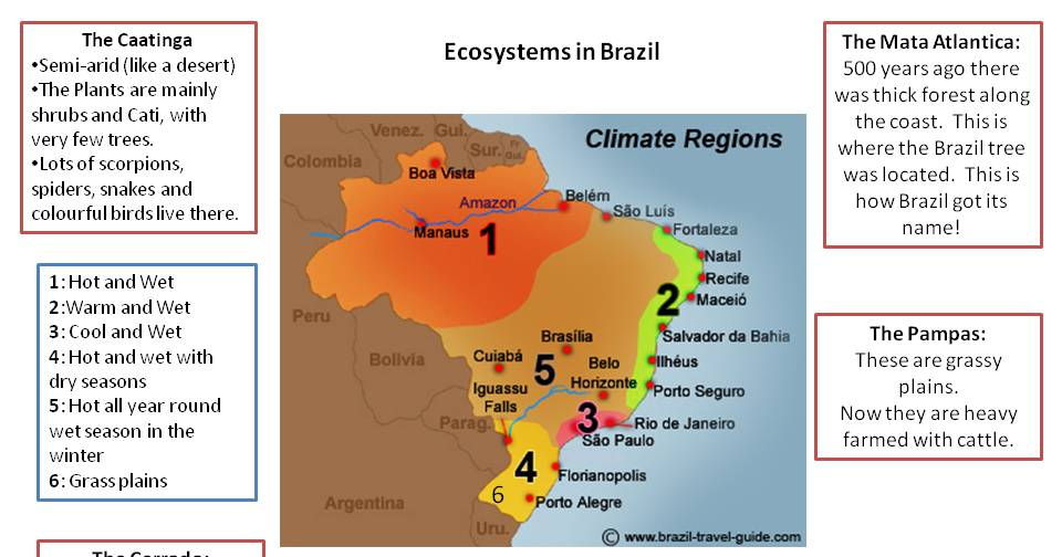 Brazil's Ecosystems