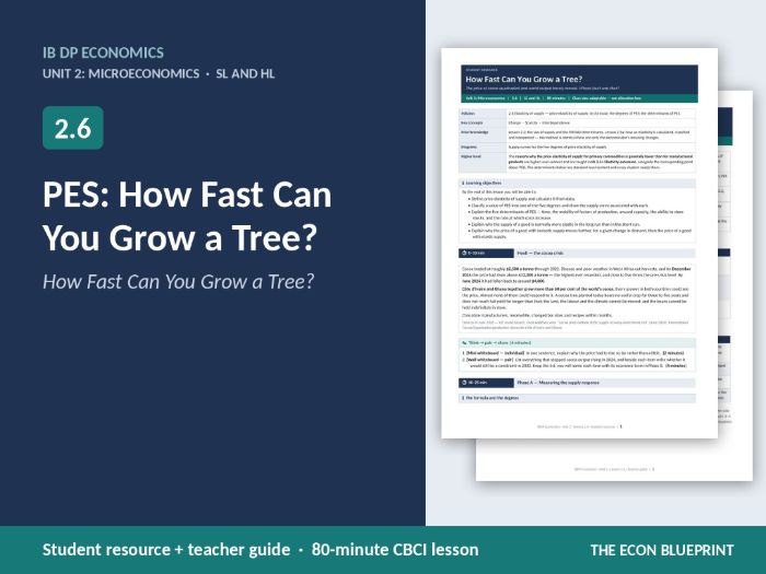 IB Economics 2.6 PES | How Fast Can You Grow a Tree? | CBCI