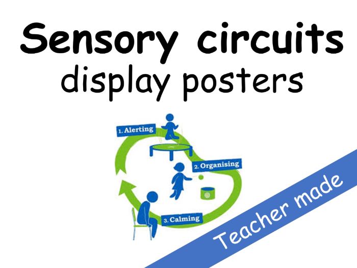Sensory Circuits Display Posters Teaching Resources