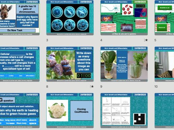 AQA GCSE Biology B2.2 – Growth and Differentiation | Full Lesson, Worksheets & Answers (Editable)