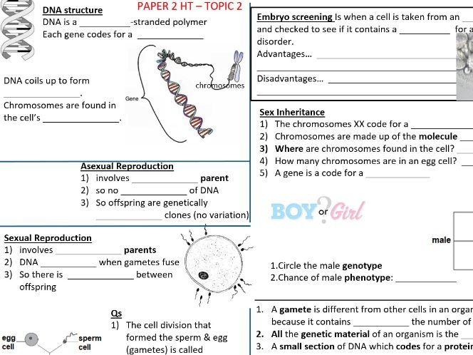 Inheritance, Variation, Evolution. AQA Revision Resource. 2026. FT & HT ‘Knowledge Organiser’ style.
