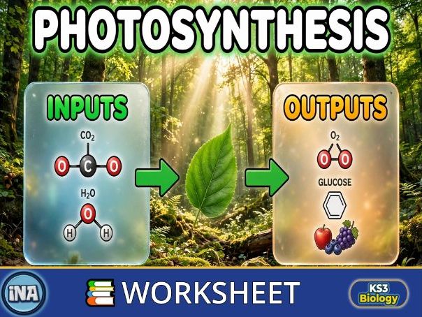 Photosynthesis - KS3 Biology Worksheet