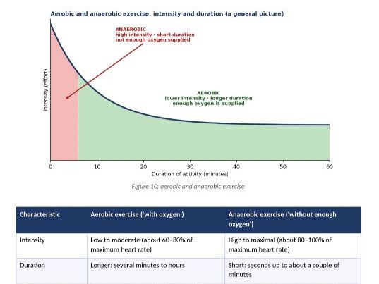 OCR Cambridge National Sport Science R181 | Principles of Training & Fitness | 72-Page NEA Workbook