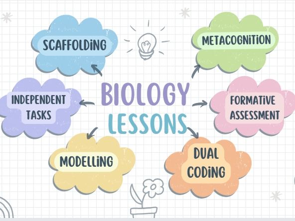 Specialised cells IGCSE/GCSE