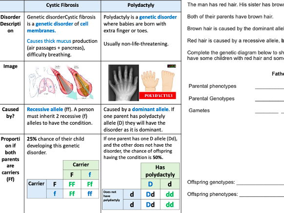 Inherited Disorders and Embryo Screening (AQA GCSE Biology)