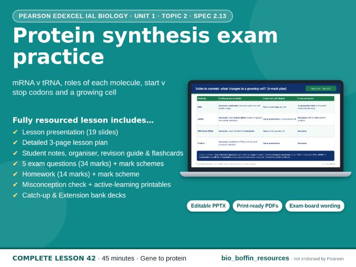 IAL Biology Edexcel – Protein Synthesis