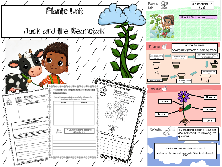 Plants complete unit - Jack and the Beanstalk