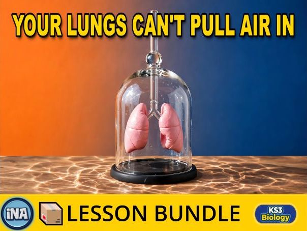 The Human Gas Exchange System and Breathing - Complete KS3 Biology Lesson Pack