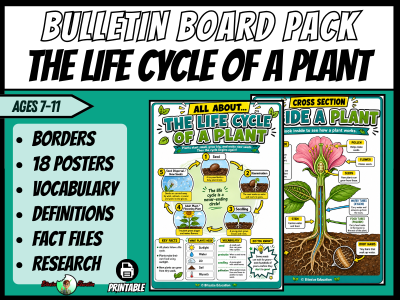 The Life Cycle Of A Plant | Bulletin Board Display | Posters, Timeline, Map & Vocab