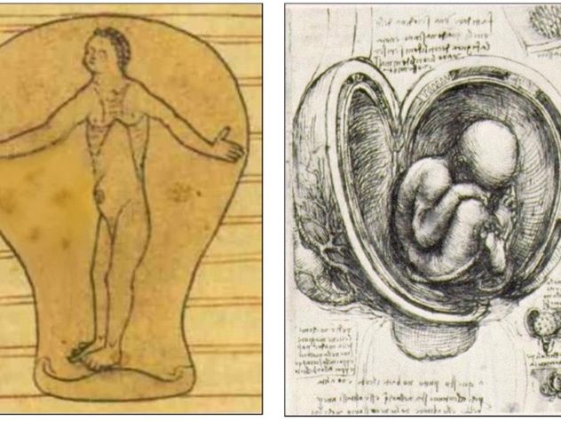Vesalius vs. Pare vs. Harvey GCSE Health/Medicine lesson fully resourced 2/3 lessons
