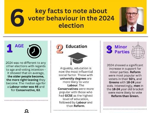 Voter Behaviour 2024 nfographic
