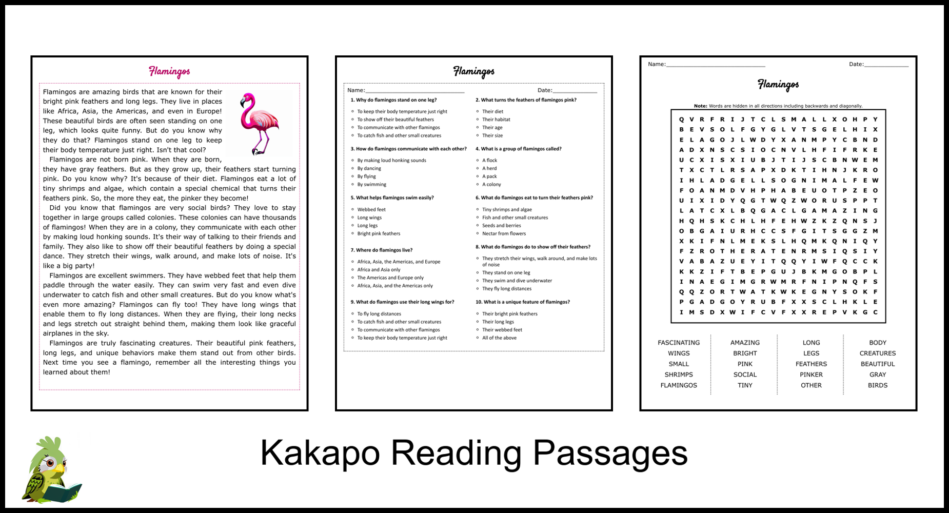 flamingos-reading-comprehension-and-word-search-teaching-resources