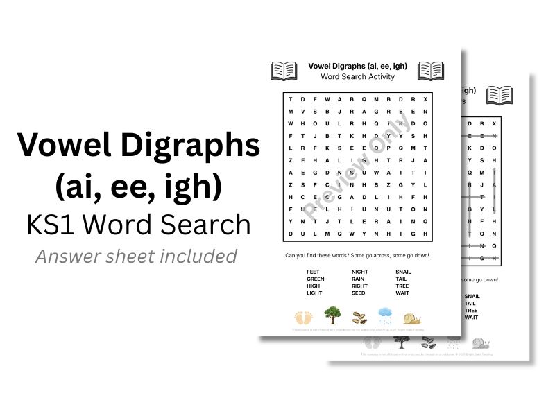 Vowel Digraphs (ai, ee, igh) KS1 Word Search Activity