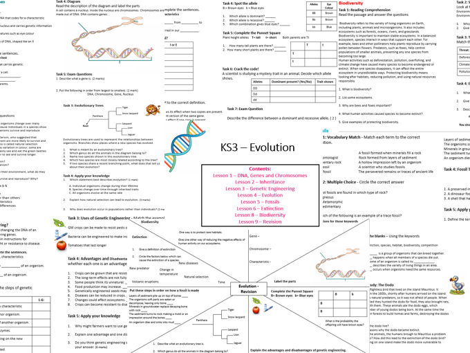 KS3 Evolution & Genetics Worksheets + Revision Clock | Complete Topic Pack