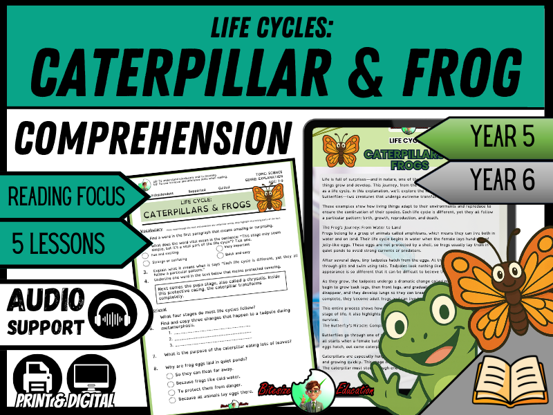 Caterpillars & Frogs – Life Cycles | Reading Comprehension | Year 5/6