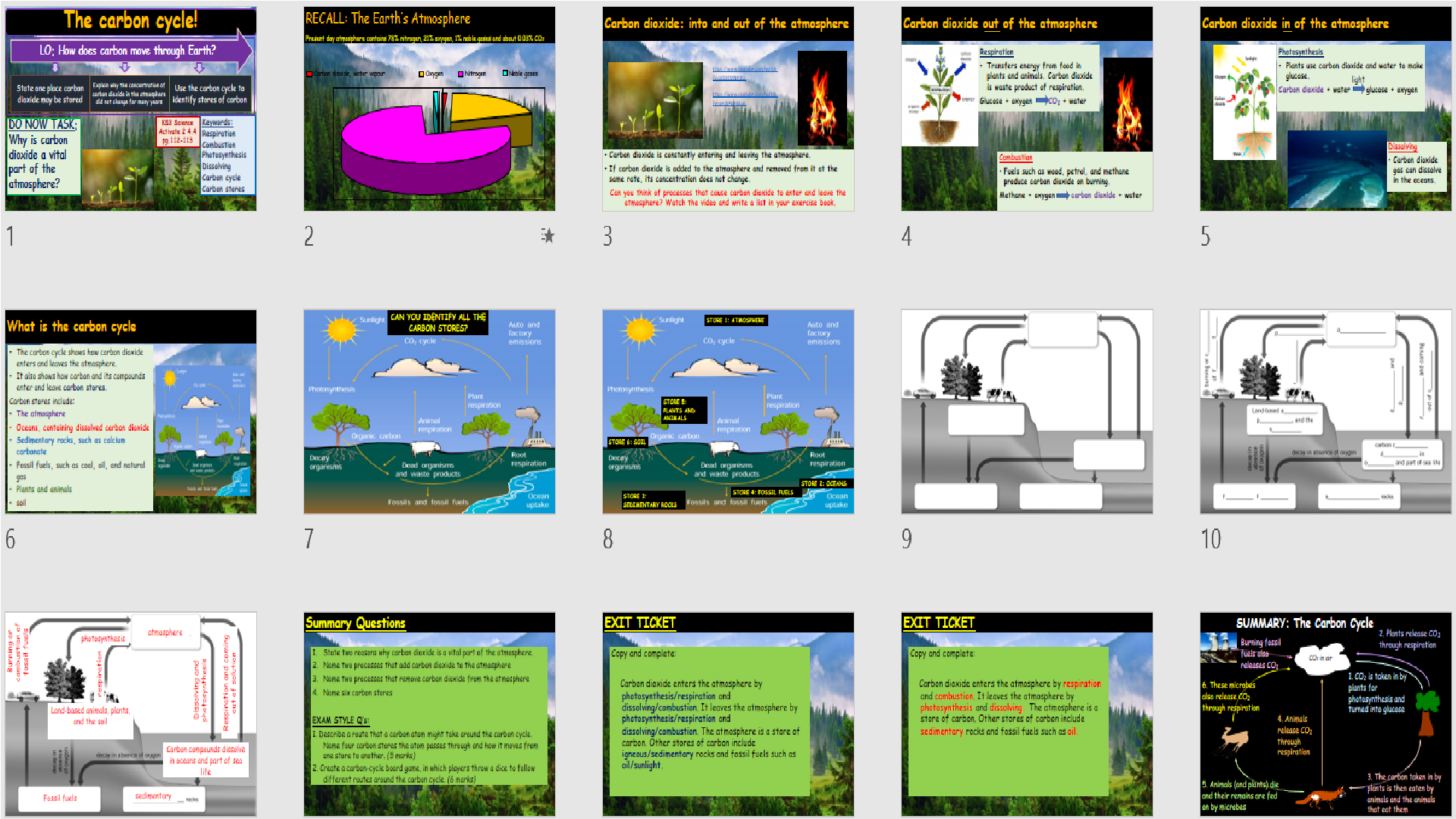 The carbon cycle KS3 Activate Science Teaching Resources