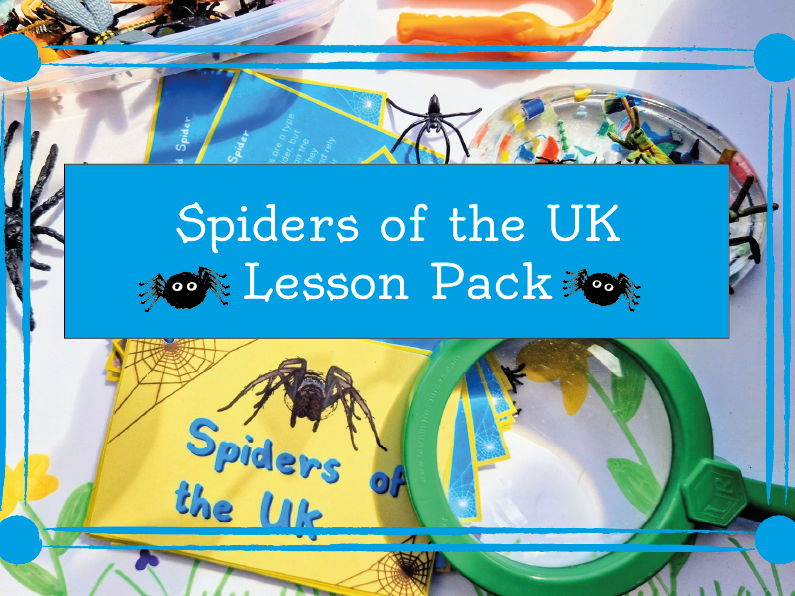 Spiders of the UK Complete Lesson Pack