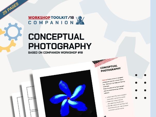 Conceptual Photography Toolkit | KS3 KS4 GCSE | Customizable Worksheets | Middle & High School