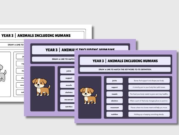 Year 3 Science Vocabulary Matching | Canva Editable Worksheets