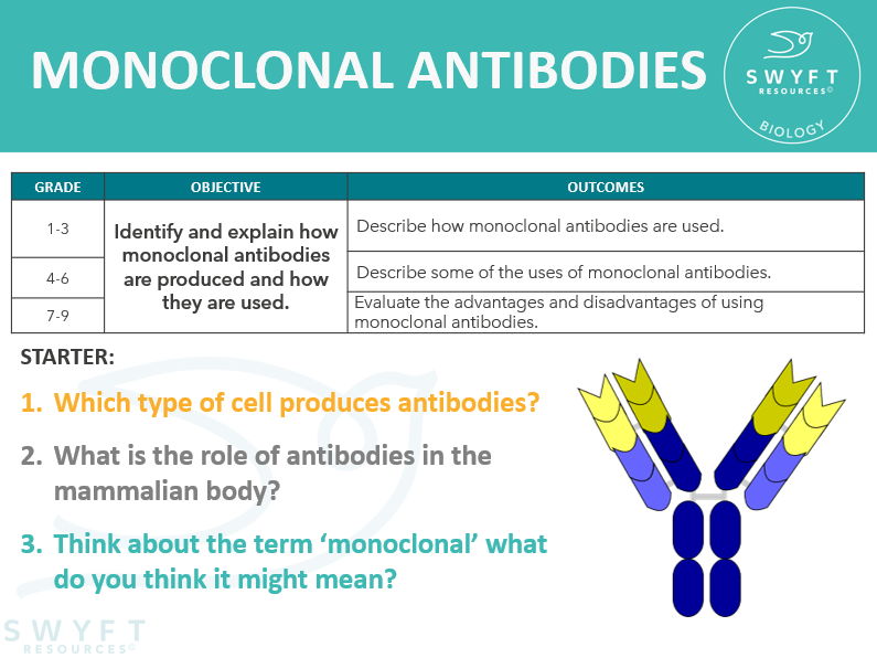 NEW (2016) AQA AS-Level Biology – Monoclonal Antibodies