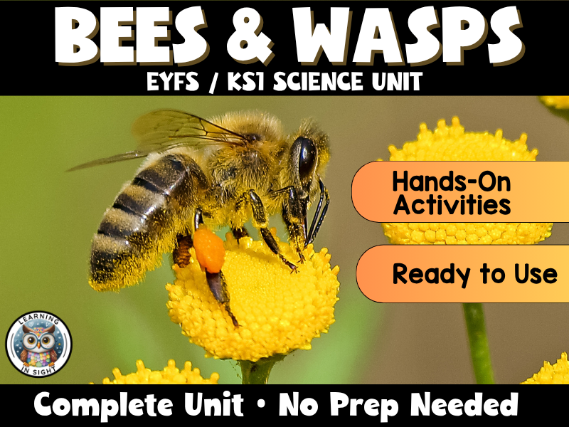 Mini Beasts: Bees & Wasps EYFS / KS1 Science Unit