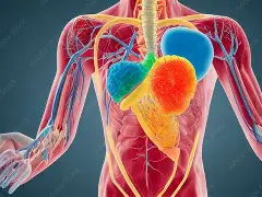 AAQ OCR F091 Topic 5 Regulatory systems