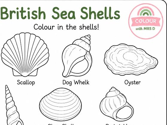 Shells