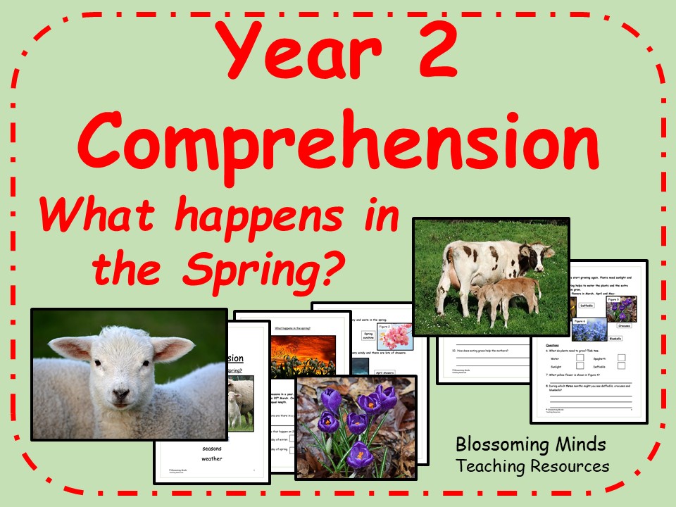 What happens in the spring? Comprehension Year 2 Teaching Resources