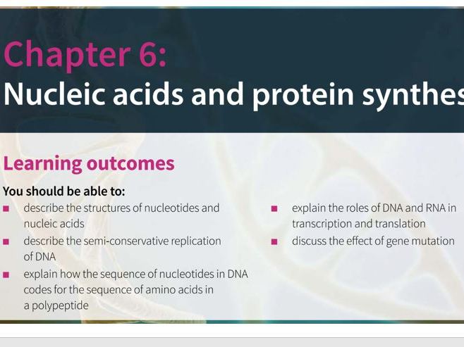 DNA & Protein Synthesis