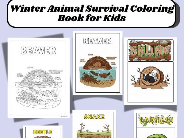 Animals in Winter Hibernation Partial Hibernation Brumation and Winter Dormancy