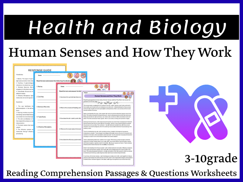 Human Senses and How They Work Reading Comprehension Passages & Questions Worksheets