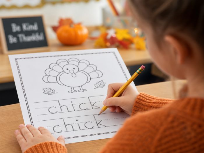 Turkey Life Cycle Worksheets